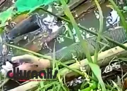 BREAKING NEWS! Mayat Wanita Ditemukan Tanpa Identitas di Kali Lampung Tengah