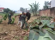 Antisipasi Krisis Pangan, Koramil 410-05/TKP Manfaatkan Lahan Tidur Dengan Bertani Jagung