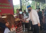 Danbrigif Marinir dan Bupati Pesawaran Serahkan Hewan Kurban ke Masjid Al-Bahri Piabung