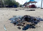Kadis Sebut Limbah Hitam Pertamina Tak Merusak Ekosistem Laut, Walhi: Sesat Pikir