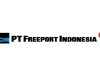 Lowongan Kerja PT Freeport Indonesia, 4 Posisi, Cek Syarat & Buruan Daftar!