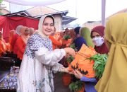 Ketua TP. PKK Provinsi Lampung Menyerahkan Bantuan Program SIGER di Kelurahan Gunung Agung Langkapura