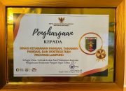 Provinsi Lampung Raih Penghargaan Terbaik Kedua Nasional Sebagai Provinsi Pelaksana Pengawasan Keamanan Pangan Segar
