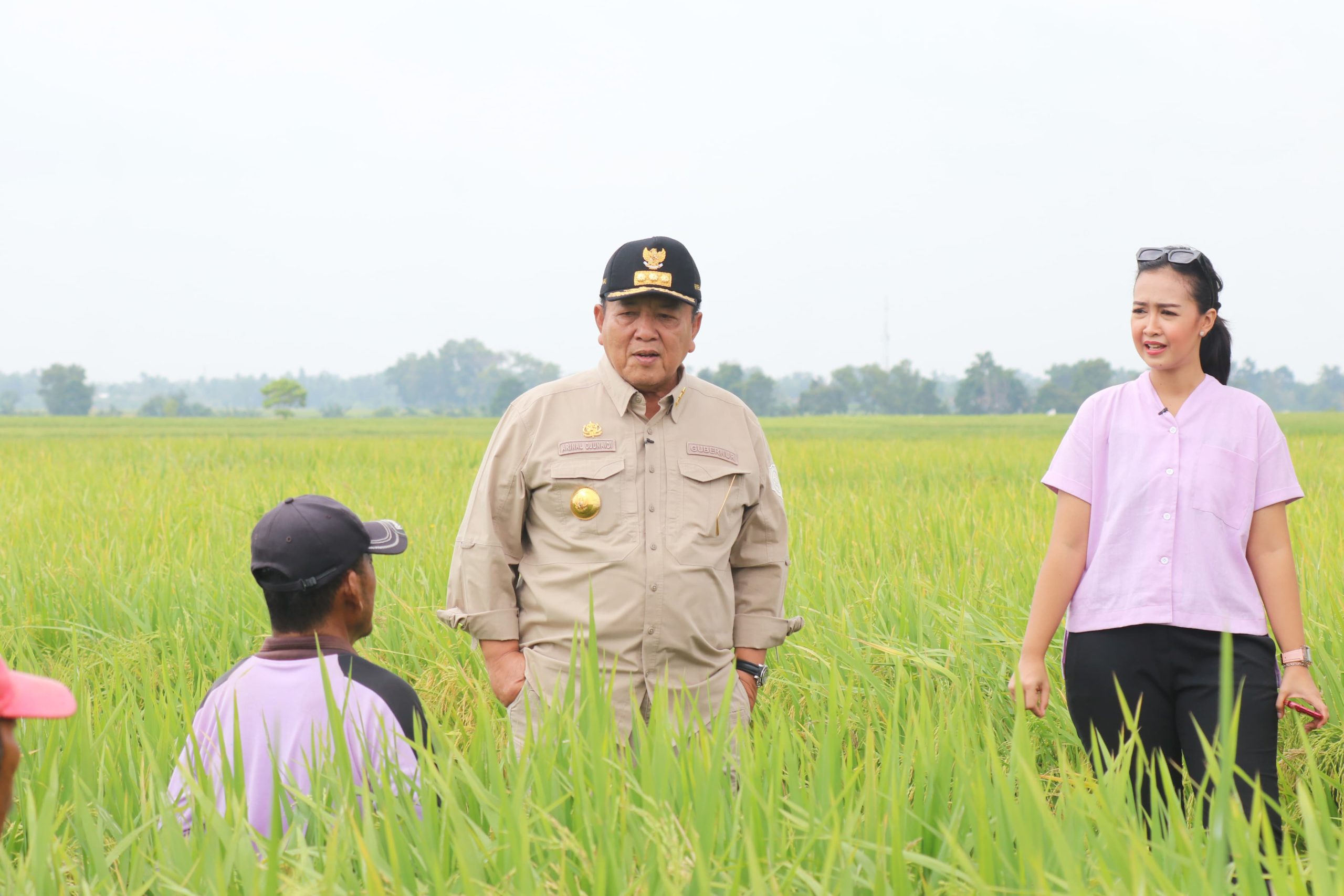 Gubernur Arinal Djunaidi Tinjau Lahan Pertanian di Kabupaten Lampung Tengah