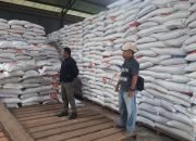 Harga Beras Di Kota Metro, Berangsur Turun.