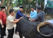 Polres Metro Potong Satu Ekor Sapi Pada Iedul Adha 1445 H Ini.