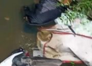 Jasad Pria Lansia Ditemukan Di Drainase Samping Lapas Metro.