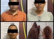 Tebang dan Curi Kayu Akasia, 3 Pria Diamankan Oleh Tekab 308 Presisi Polres Metro