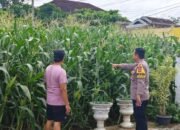 Polres Metro Terus Ajak Masyarakat Untuk Perkuat Ketahanan Pangan.