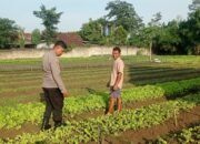 Polres Metro Bersinergi Dengan Masyarakat Jaga Ketahanan Pangan.