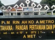 Triwulan Satu 2025 Dinas Pertanian Kota Metro Sudah Habiskan Dana Rutin Rp 3,950 M.