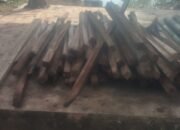Limbah Pabrik CPO Di Kota Metro, Lampung Diduga Cemari Lingkungan.