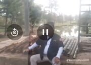 IPLI Geram, Kayu Akasia Di Kawasan Capit Urang Di Babat Oknum Masyarakat.
