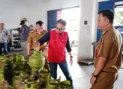 Distribusi LPG 3 Kg di Lampung Utara Aman, Pertamina dan Pemkab Lakukan Sidak