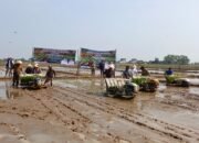 Kajati Lampung Dampingi Petani Tanam Padi Untuk Mitra PMA.