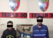 Tekab 308 Polres Metro Ungkap Kasus Curat, Dua Tersangka Terlibat Pencurian Burung Dara