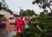 Polres Metro Gelar Patroli Siaga Bencana, Evakuasi Pohon Tumbang Di Tiga Titik.
