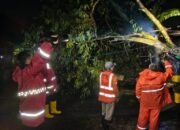 Polres Metro Lampung Siaga Bencana, Tanggap Tangani Pohon Tumbang di Metro Barat.