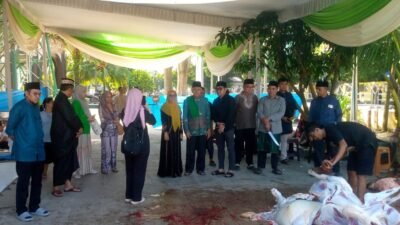 Kota Metro Sembelih Hewan Kurban  3.495 Di 382 Lokasi Pada 1447 H Ini.